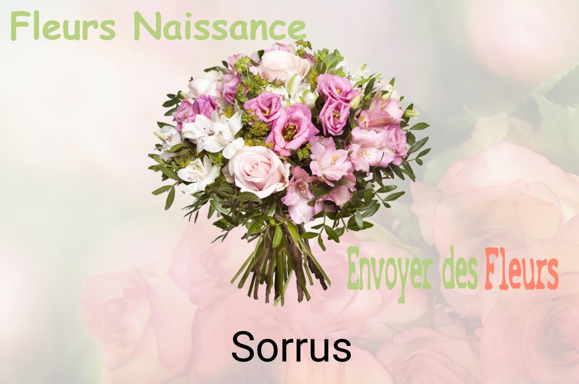 Bouquet de fleurs de naissance livré à Sorrus